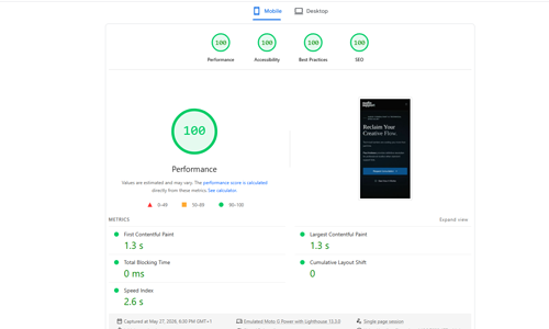 PageSpeed Insights showing a perfect 100 performance score